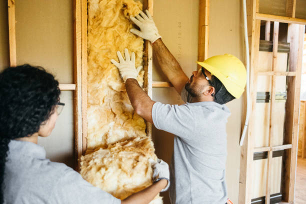 Best Residential Insulation Services  in Eaton Estates, OH