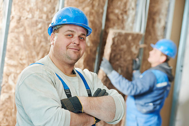Best Local Insulation Services  in Eaton Estates, OH